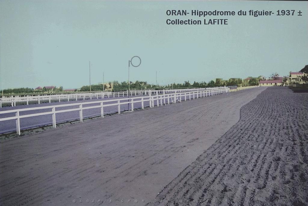 Oran- Le figuier 27a.jpg